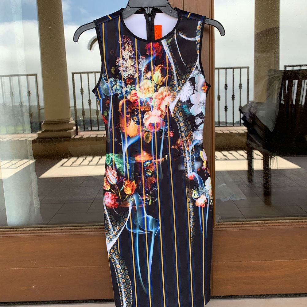 Clover Canyon dress